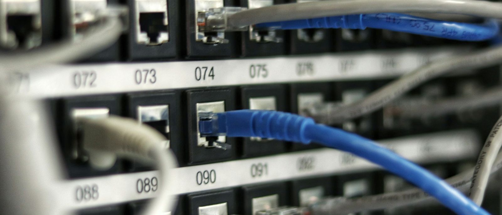 Numbered patch panel with network cables connected